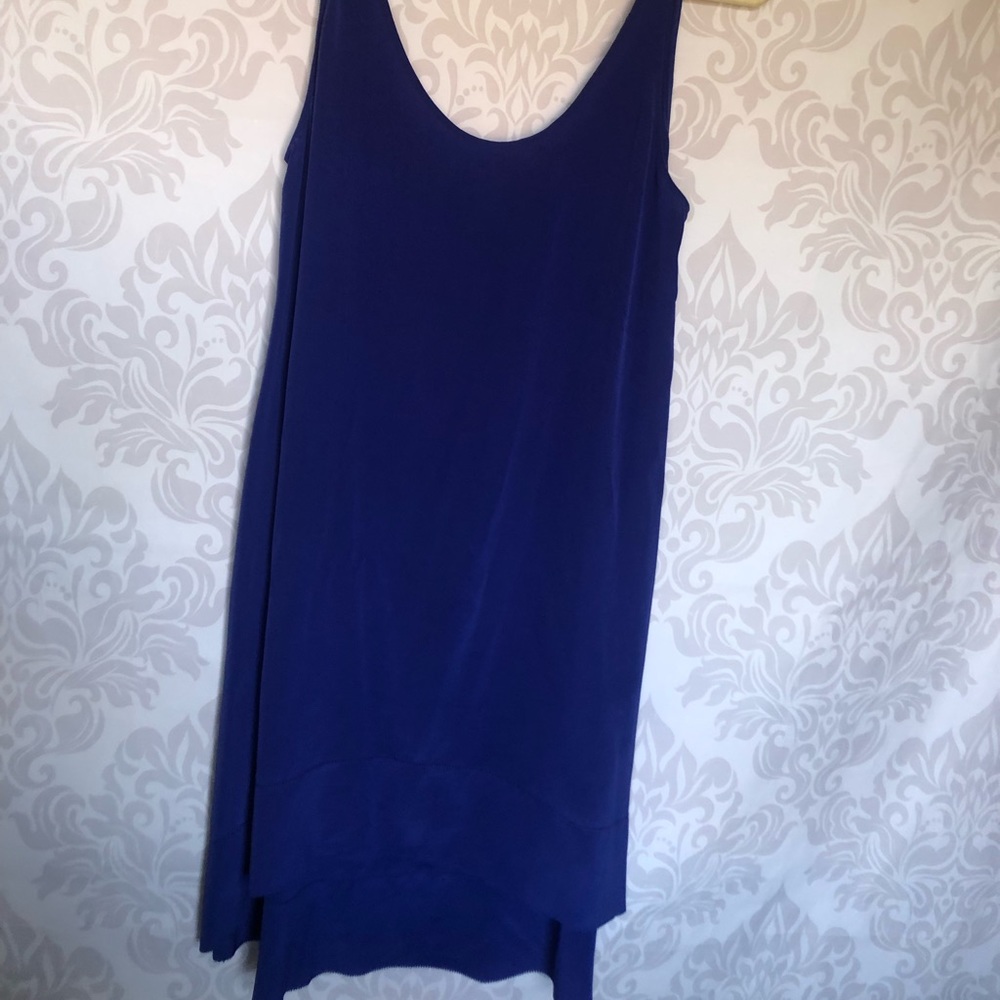 Aritzia Wilfred 100% Silk Dress